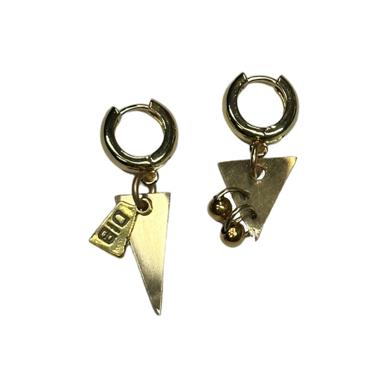 Evday Earrings